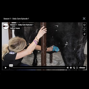 Stock Show University - Daily care video series thumbnail