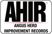 AHIR Angus Herd Improvement Records Logo