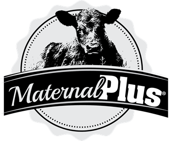 Maternal Plus BW