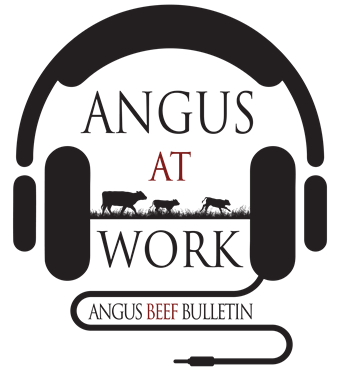 Angus at Work Logo