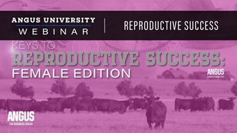 Female reproductive success: female edition webinar thumbnail