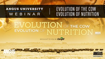 Evolution of the cow, Evolution of nutrition webinar thumbnail