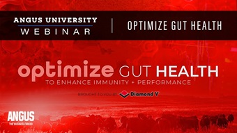 Optimize gut health webinar thumbnail