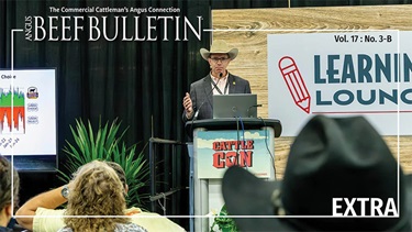 ABB EXTRA March 2025 B