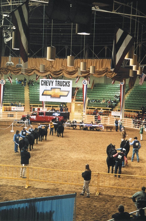 thehill-A-class-from-above