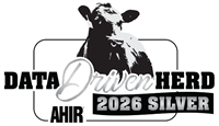 DataDriven_Silver_2026
