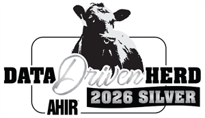 DataDriven_Silver_2026