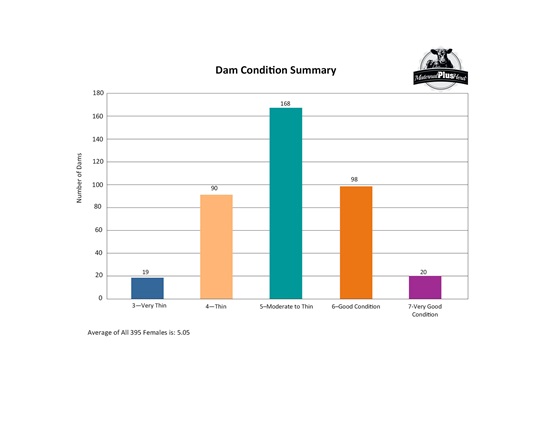 Cow condition summary report example.