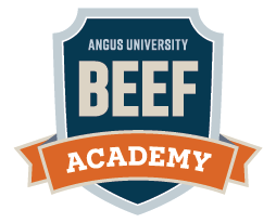 BEEF Academy logo