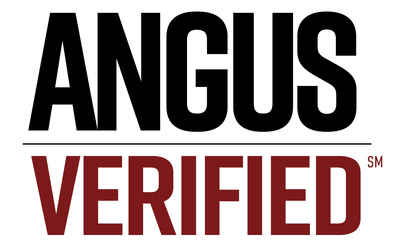 Angus Verified Logo