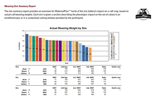Sample Maternal Plus report