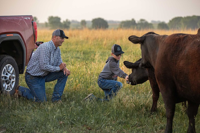 A man and boy kneel in front of a cow in a field 