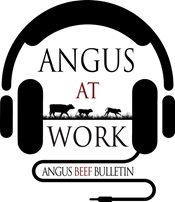 Angus at Work logo