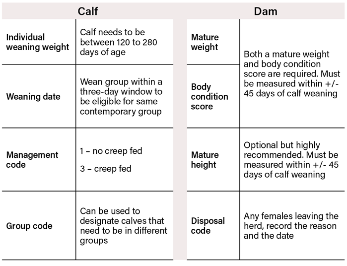 Reference list of records at weaning