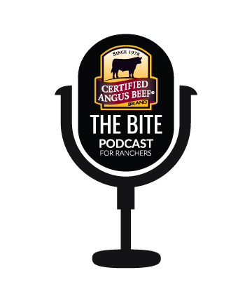 CAB The Bite logo
