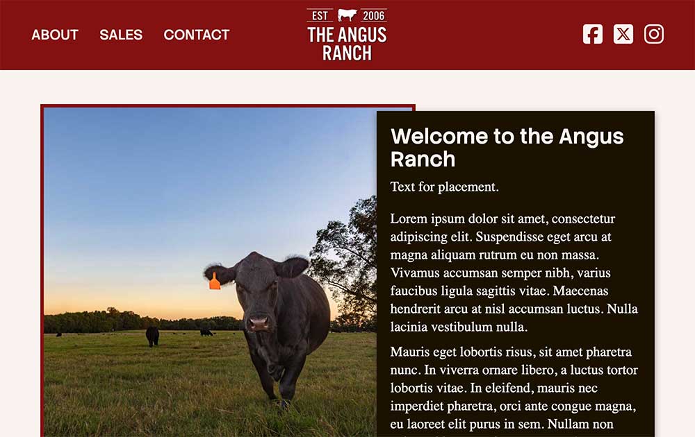 Anderson website theme thumbnail