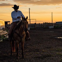 A man rides a horse in front of a sunset