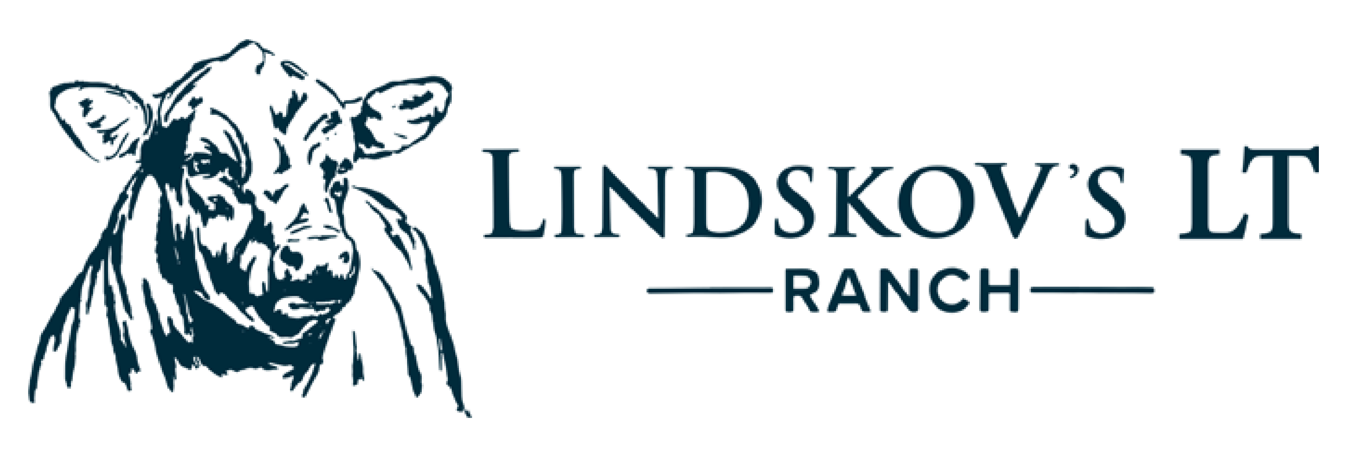 Lindskov Logo