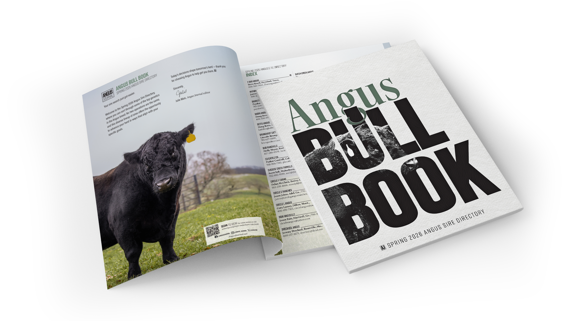 Bull Rising Book Angus Bull Book