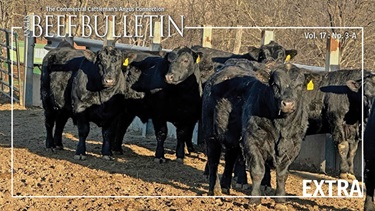 ABB EXTRA March 2025 A