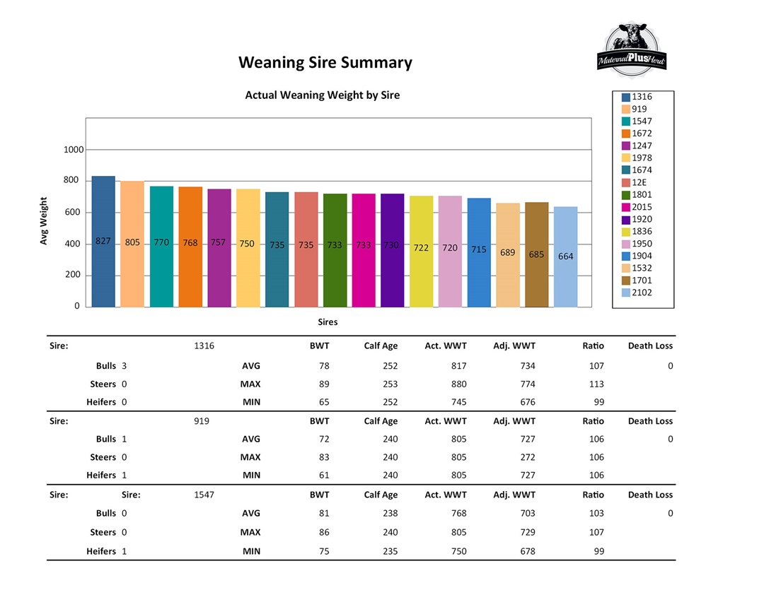 Weaning sire summary report example.