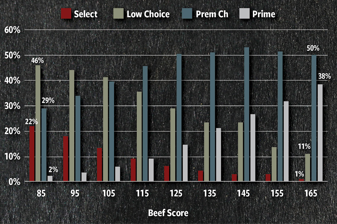 Variation in quality grade by GMS Beef Score Graph