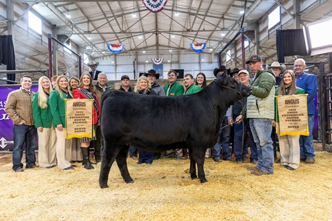 Express Angus Ranches of Yukon, Oklahoma; Nowatzke Cattle/Maple Lane of Michigan City, Indiana and Pollard Farms of Waukomis, Oklahoma purchases WILKS Rita 4728 at the National Angus Bull Sale in Oklahoma City.