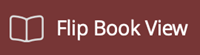 flipbook view