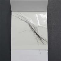 Little amount of hair on sample card