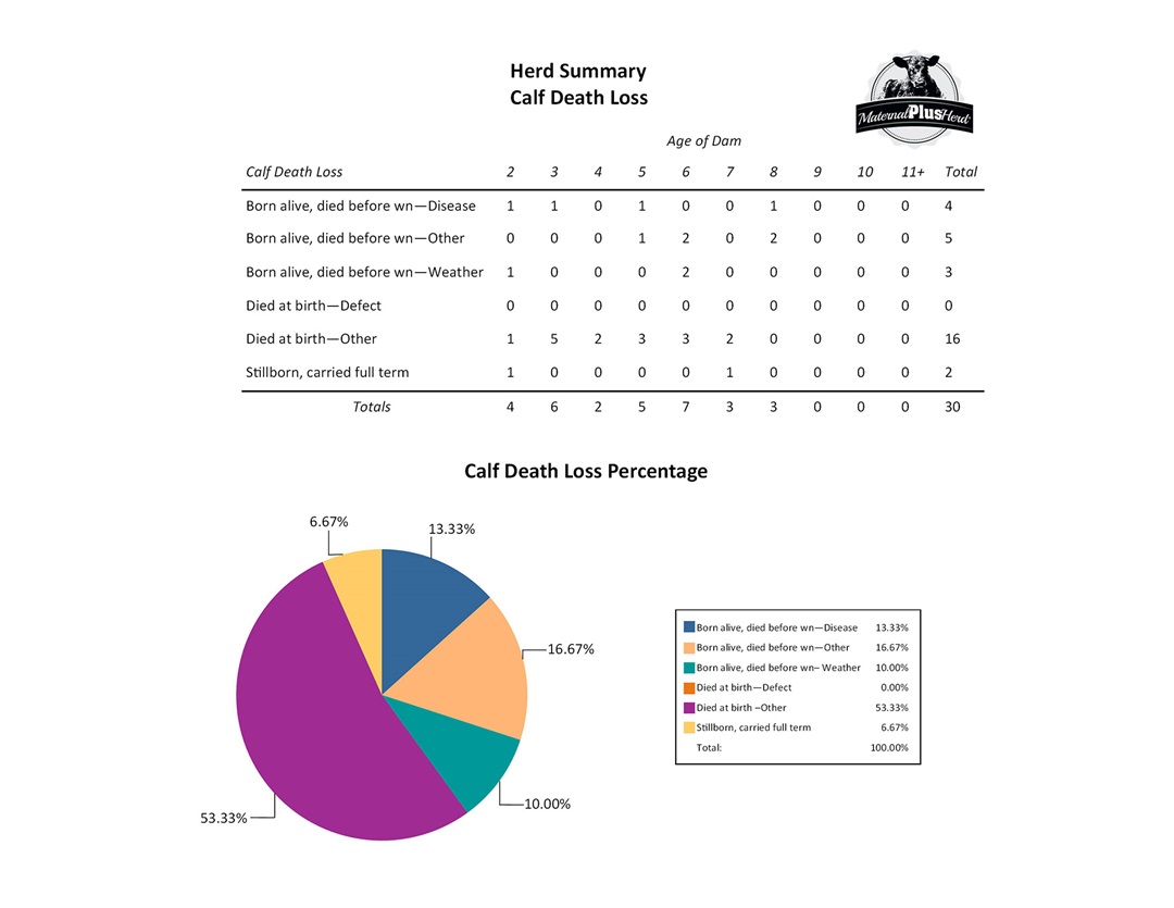 Calf death loss report summary example.