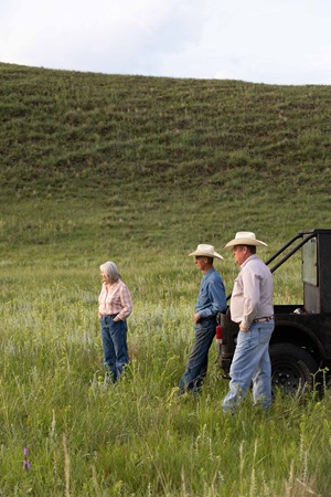 Three people stand in a field