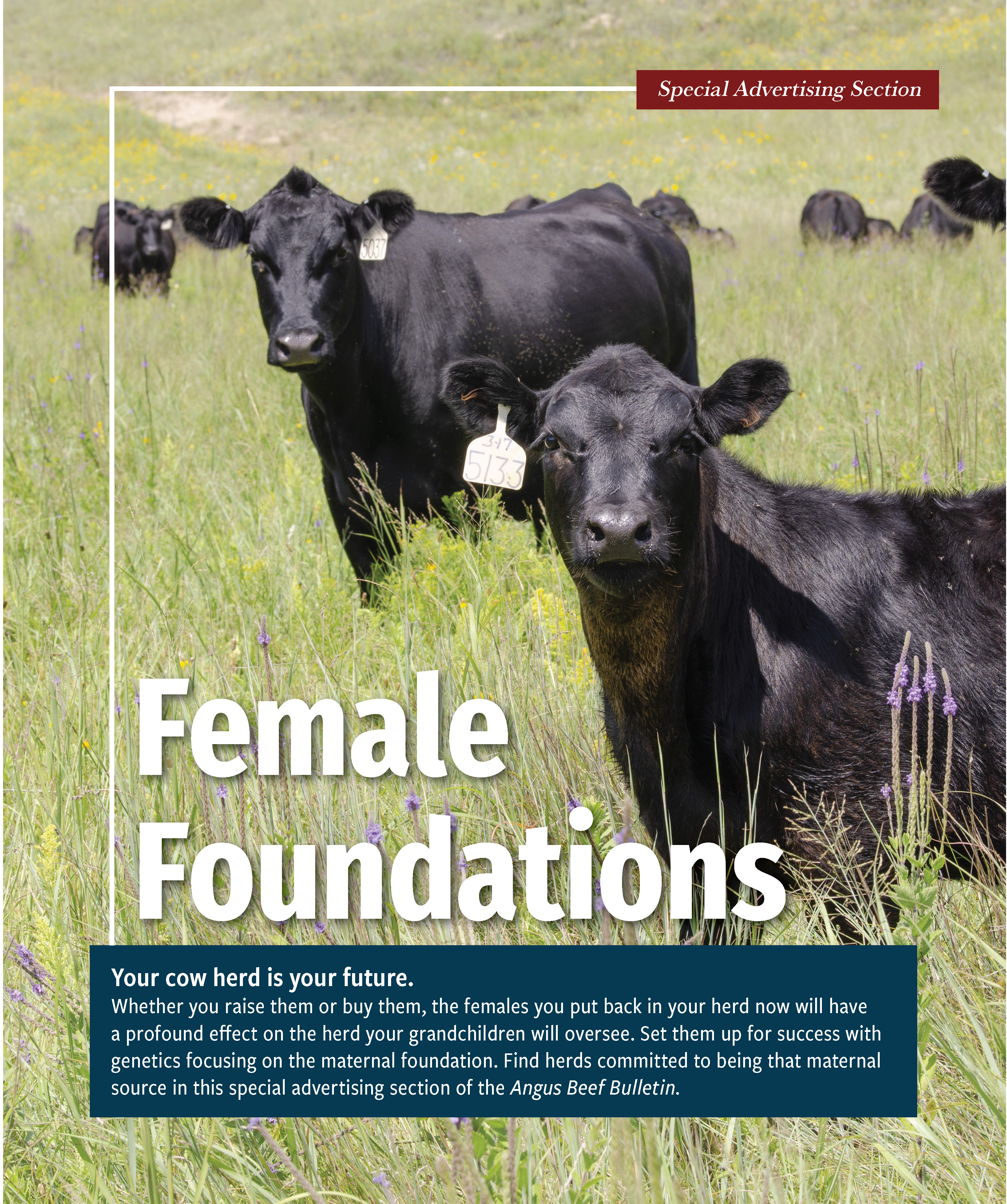 April 2025 ABB cover