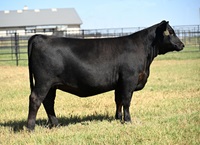 Pollard Rita 4012 Sale Picture