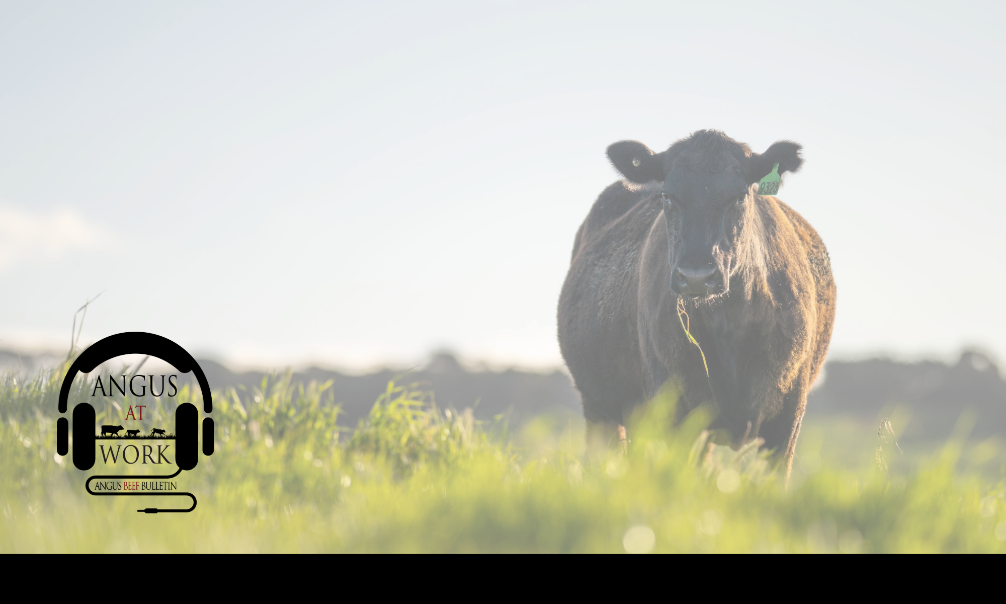 Bovine Congestive Heart Failure Update with Kelli Retallick-Riley
