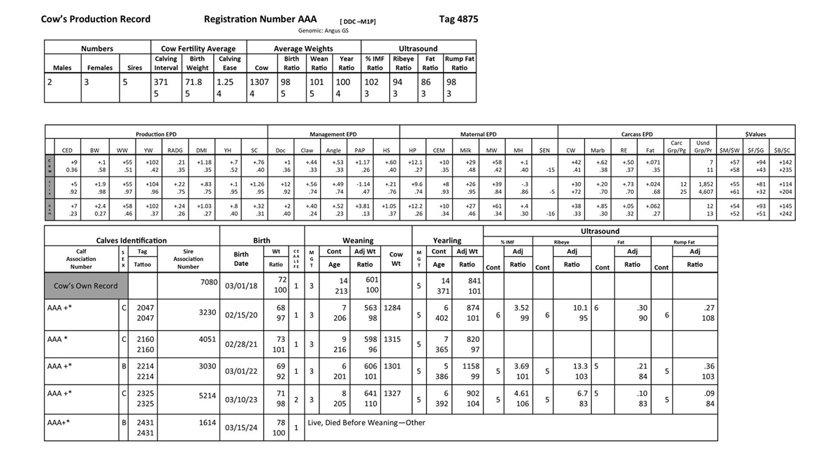 Cow Production data chart.