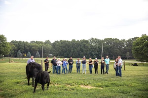 A group of people stand near two cows