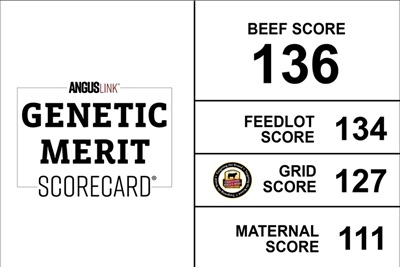 GMS score card