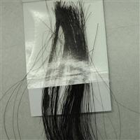 Improper hair sample with too long of hair