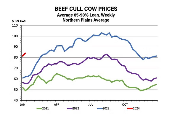 Beef Cull Cow Prices graph, average 85-90% lean, weekly average Northern Plains
