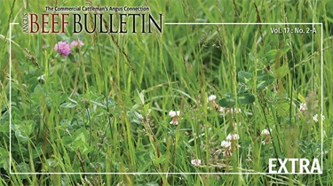 ABB EXTRA Feb 2025 A