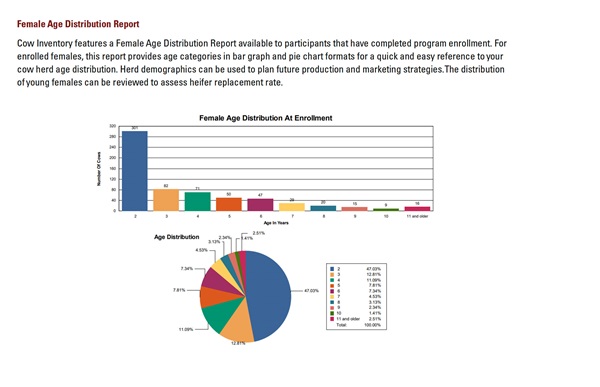 Sample Inventory Reporting report.