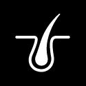 Hair shed icon