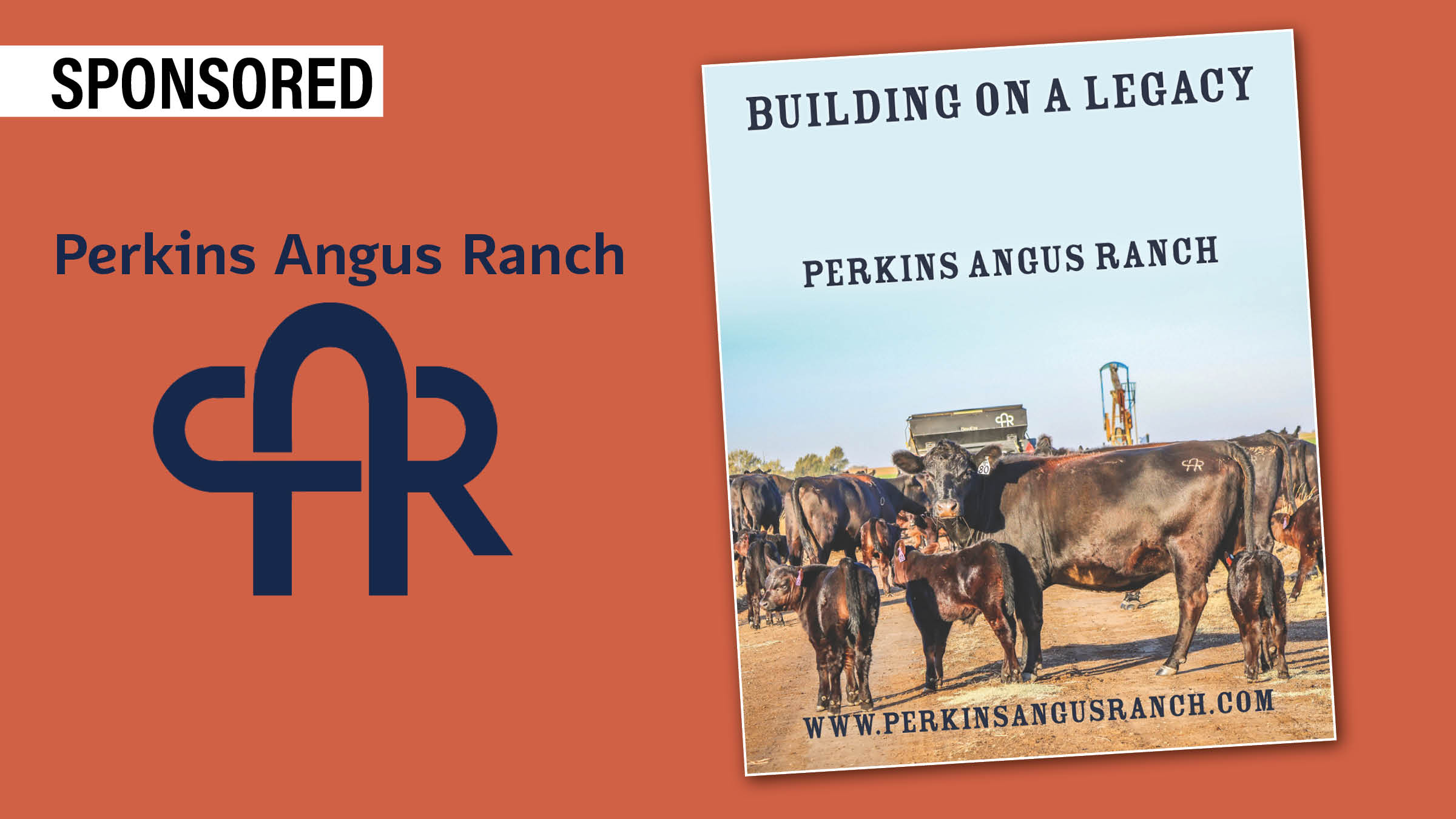 Perkins Angus Ranch