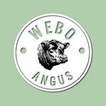 WEBO