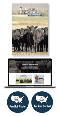 computer with Feeder-calf marketing guide website