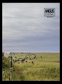 0824 AJ cover