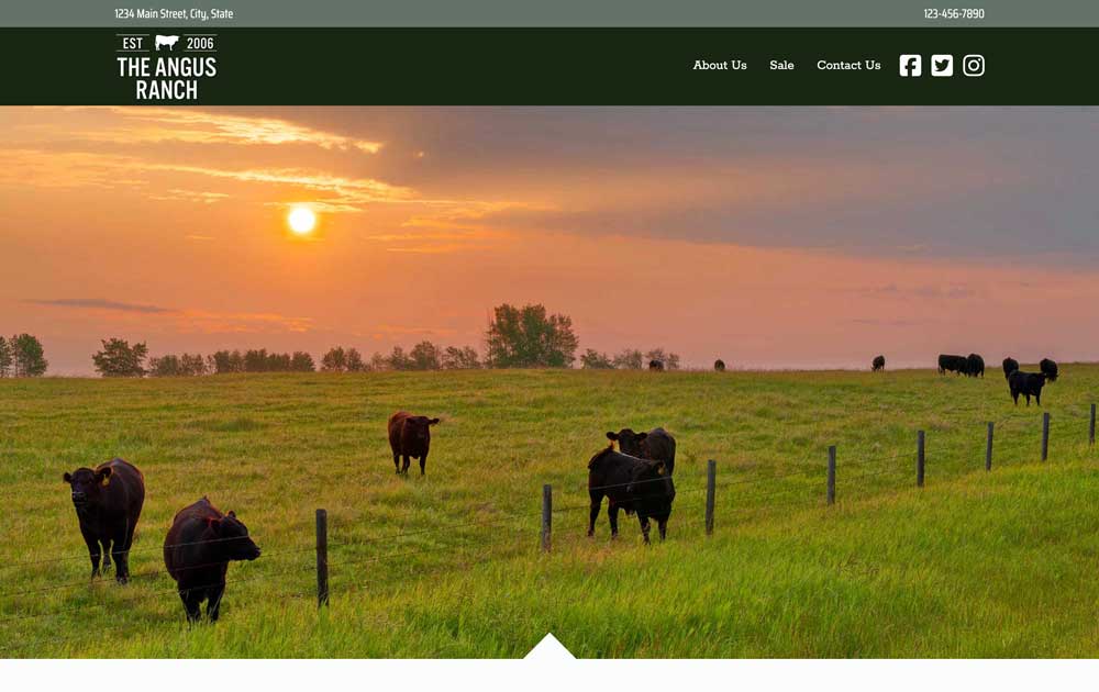 Anderson website theme thumbnail