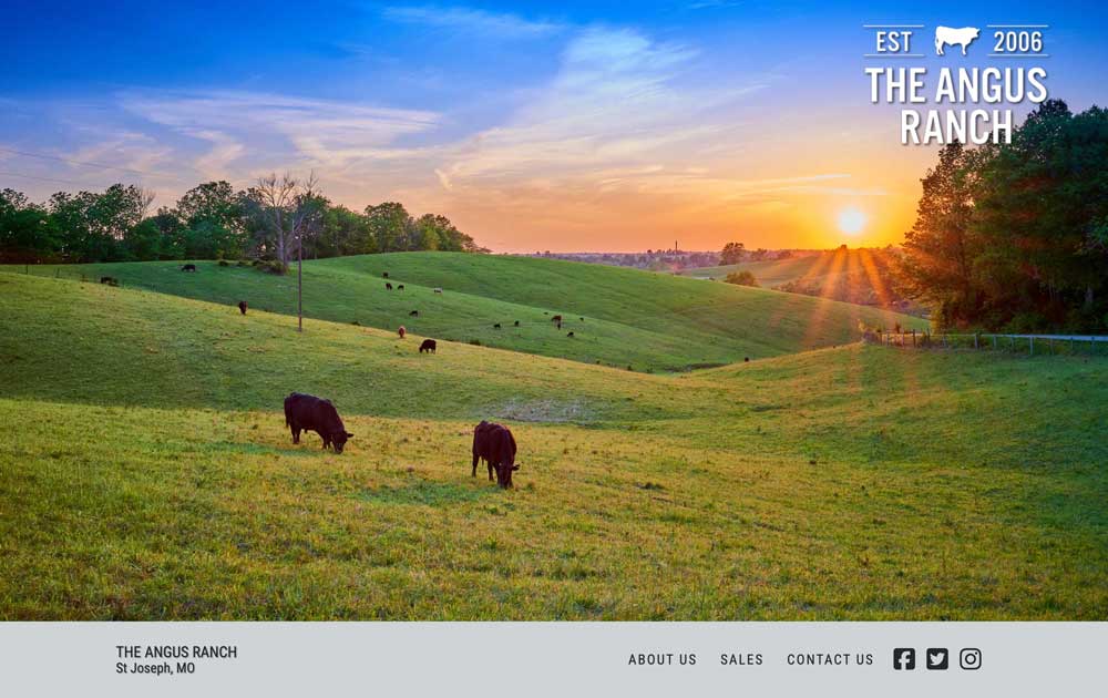 Anderson website theme thumbnail