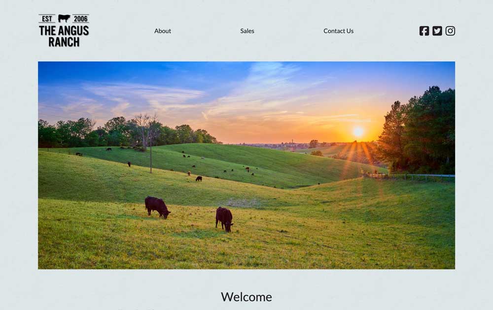 Anderson website theme thumbnail