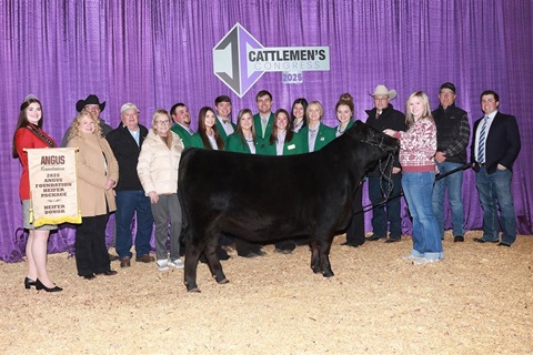 The 2025 Angus Foundation Heifer Package, donated by Pollard Farms of Waukomis, Oklahoma, was purchased by Lylester Ranch of Martell, Nebraska, for $75,000 on January 10 at Cattlemen’s Congress in Oklahoma City.